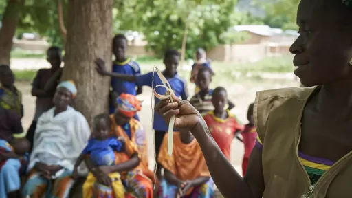 Case Study 4 Cameroon