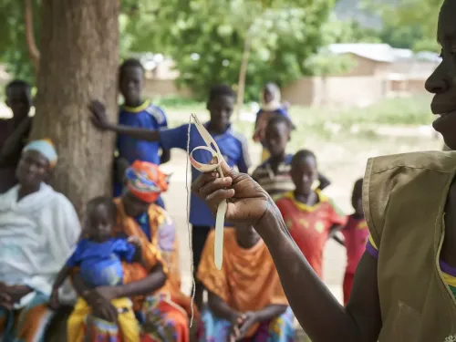 Case Study 4 Cameroon